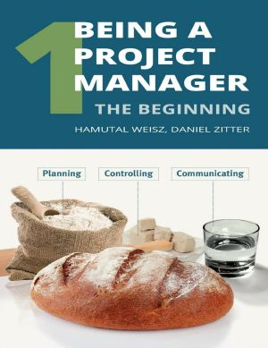 Being a Project Manager · The Beginning