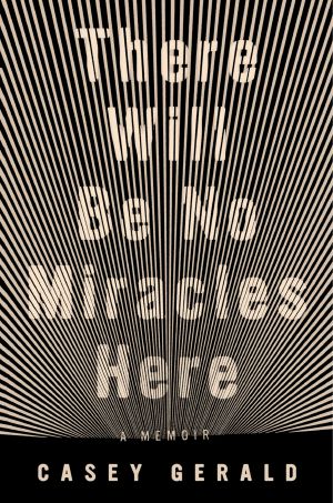 There Will Be No Miracles Here, A Memoir