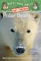 Polar Bears and the Arctic