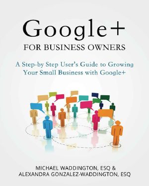 Google+ for Business Owners