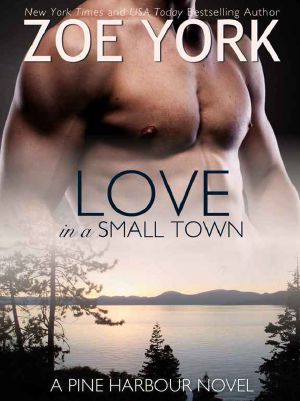 Love in a Small Town · the Soldier's Second Chance (Pine Harbour Book 1)