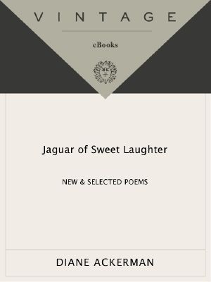 Jaguar of Sweet Laughter