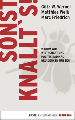 Sonst knallt´s! · Warum wir Wirtschft und Politik radikal neu denken müssen