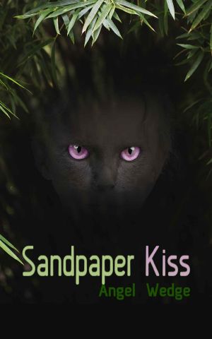 Sandpaper Kiss