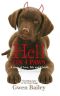 Hell on 4 Paws · A Story of Love, Life and Chesil, the Delinquent Dog