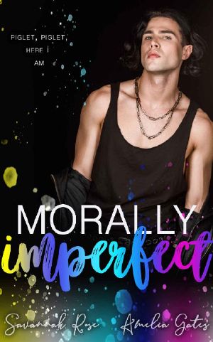 Morally Imperfect · A Bully Romance (The Bully Project Book 2)