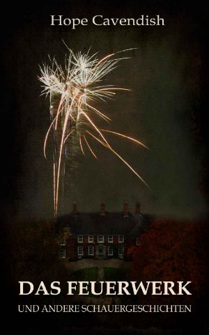 Das Feuerwerk