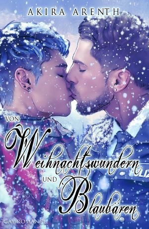 Von Weihnachtswundern und Blaubären: Gay Romance (German Edition)