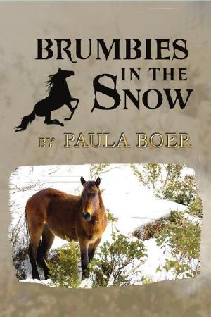 Brumbies in the Snow