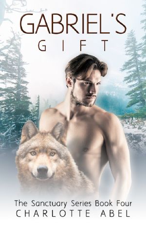 Gabriel's Gift (Sanctuary Series Book 4)