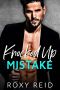 Knocked Up Mistake · A Billionaire Accidental Marriage Romance