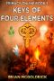 Keys of Four Elements (Primacy Online Book 5)