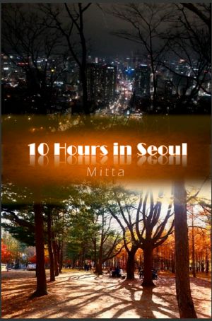 10 Hours in Seoul