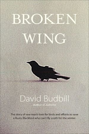 Broken Wing