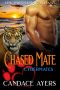 Chased Mate: Eine Paranormale Romanze (Cybermates 3) (German Edition)