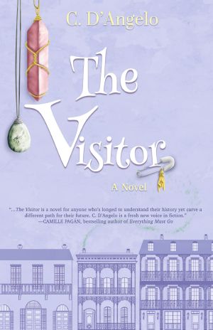 The Visitor