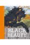 Black Beauty (Edizione Illustrata)