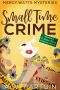 Small Time Crime (Mercy Watts Mysteries Book 10)