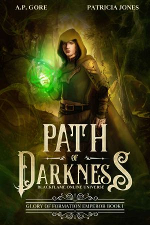 Path of Darkness: BlackFlame Online Litrpg/Gamelit Universe (Glory of Formation Emperor Book 1)