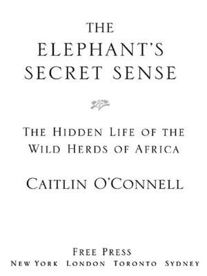 The Elephant's Secret Sense