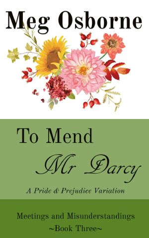 To Mend Mr Darcy