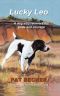 Lucky Leo · A dog who recovers his pride and courage