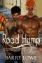 Road Hump