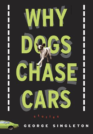 Why Dogs Chase Cars