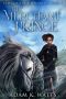 The Merchant Prince: Tales of the Misplaced - Book 2