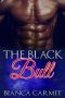 Gay Romance · Interracial Romance · the Black Bull (First Timel BDSM)