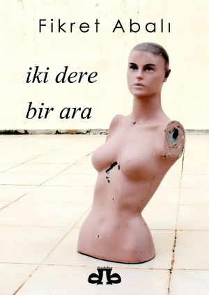 İki Dere Bir Ara