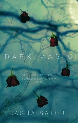 Dark Magic (Valentina Velvet Book 1) · A Dystopian Magic Realm Novel