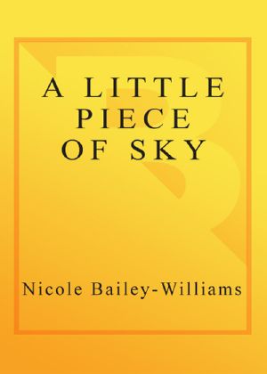 A Little Piece of Sky
