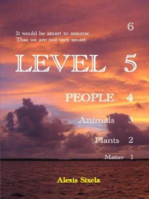 Level 5