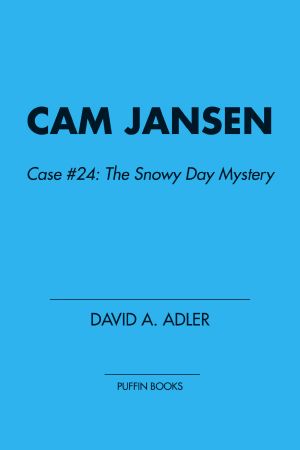 The Snowy Day Mystery