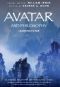 Avatar and Philosophy, Learning to See