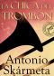 La chica del trombon