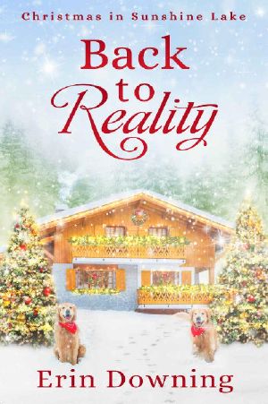 Back to Reality · Christmas in Sunshine Lake