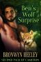 Ben’s Wolf Surprise