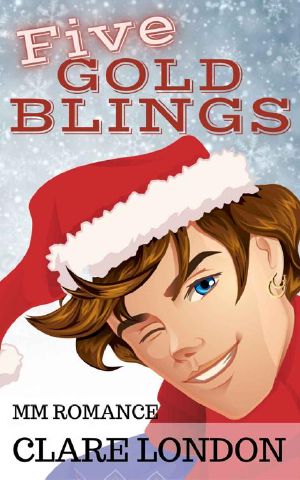 Five Gold Blings: An MM Romance