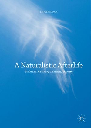 A naturalistic afterlife evolution, ordinary existence, eternity-Palgrave Macmillan (2017)