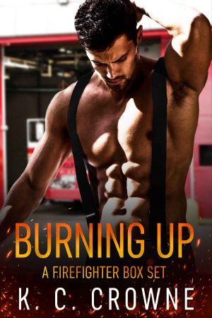 Burning Up · Firefighter Contemporary Romance Series Box Set