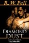 Diamond Dust - Cyber Love Is Magical - Gay Seduction