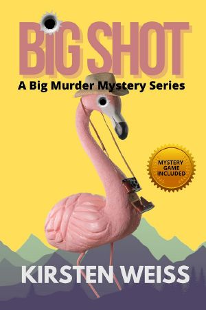 Big Shot: a Small Town Cozy Mystery