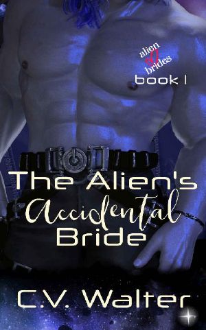 The Alien's Accidental Bride (Alien Brides Book 1)