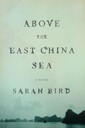 Above the East China Sea · A novel