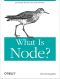 What Is Node?