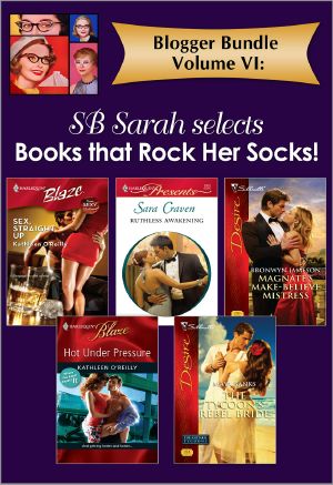 Blogger Bundle Volume VI · SB Sarah Selects Books That Rock Her Socks