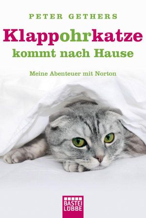 Klappohrkatze kommt nach Hause