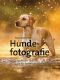 Hundefotografie